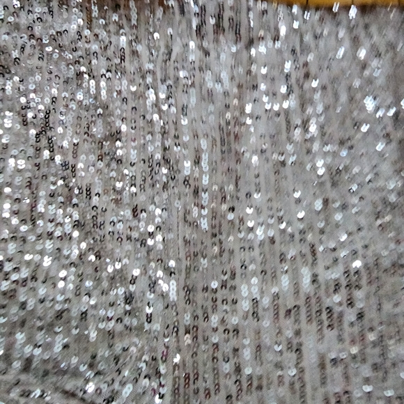 Cece Silver Sequin pant set - Picture 15 of 16